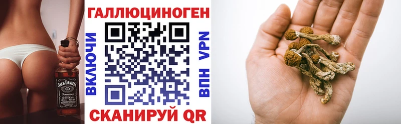 мориарти Telegram  Малаховка  Галлюциногенные грибы Psilocybe  хочу наркоту 